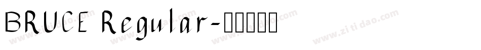 BRUCE Regular字体转换